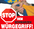 Materialien mit denen die KPÖ-Niederösterreich im Landtagswahlkampf 2008 antritt